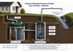 Зорде Рейн 12